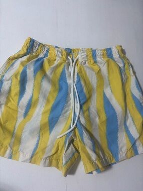 Zara Yellow Blue Wave-Stripe Swim Trunks